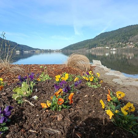 Studio Residence La Mauselaine La Perle Des Vosges Gérardmer Εξωτερικό φωτογραφία