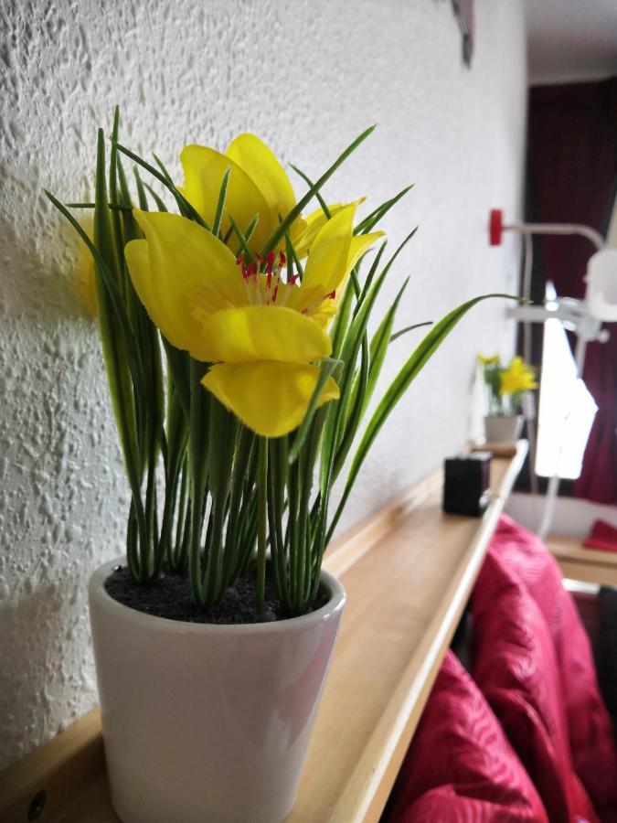 Studio Residence La Mauselaine La Perle Des Vosges Gérardmer Εξωτερικό φωτογραφία