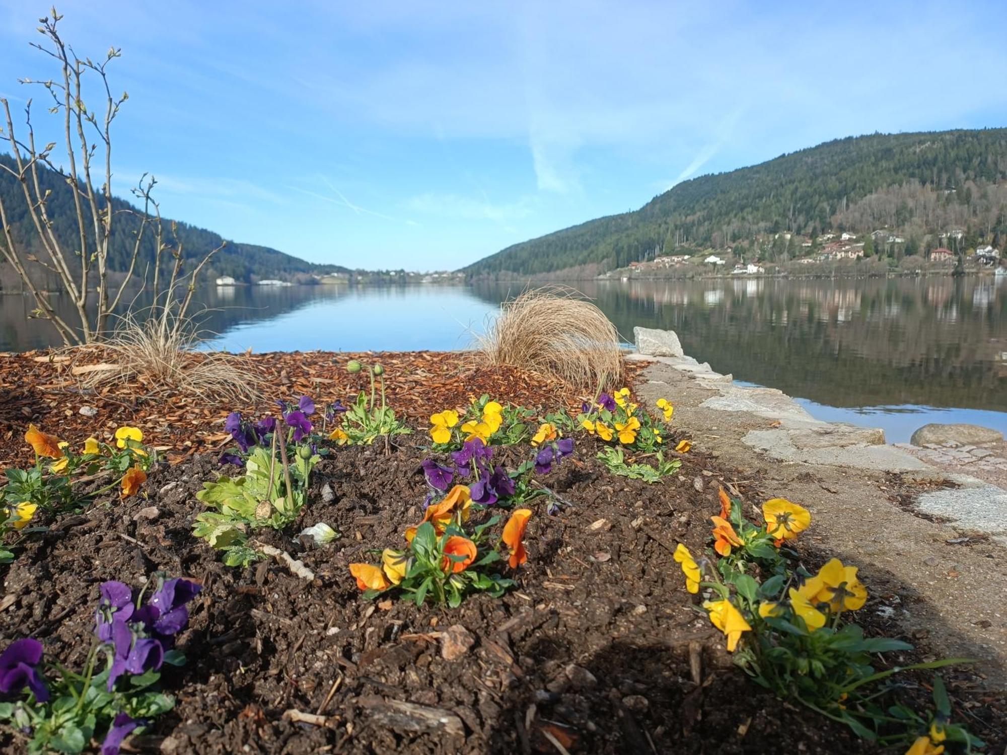 Studio Residence La Mauselaine La Perle Des Vosges Gérardmer Εξωτερικό φωτογραφία